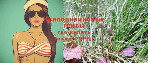 мяу мяу мука Белокуриха