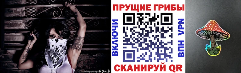 Галлюциногенные грибы мицелий  Ахтырский 